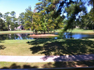 Unforgettable Lake Conroe Walden - Amber & Trevor Lutz - Sale Testimonial