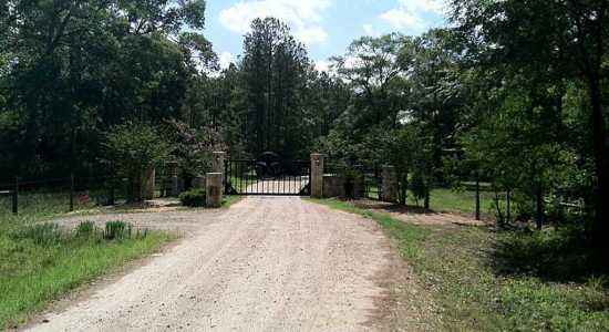 Unforgettable Lake Conroe Walden - Pat & Debbie Perrin - Sale Testimonial